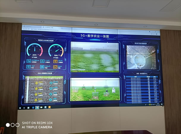 2021河南鶴壁?？h國營農場